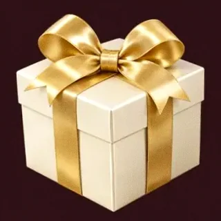 Wrapped gift box — Amon